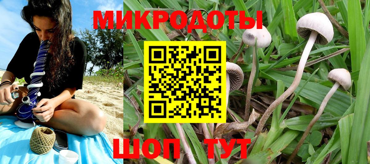 Псилоцибиновые грибы GOLDEN TEACHER Родники